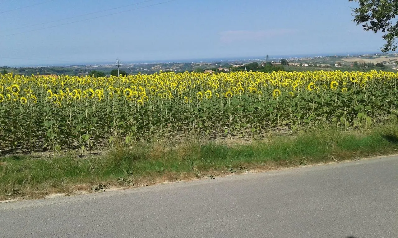 Guest house B&B Carpe Diem Trarivi